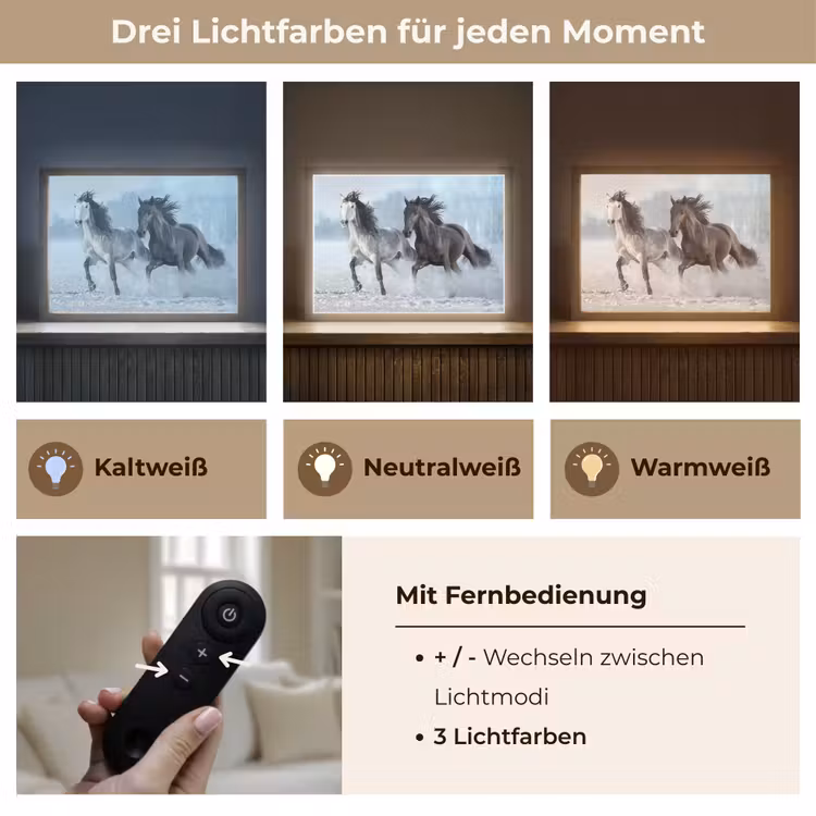 Paarden - Winter - Dieren - Natuur - Sneeuw Light Box met batterij (Wandlamp) middel -USP_lichtkleurDE
