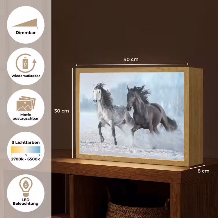 Paarden - Winter - Dieren - Natuur - Sneeuw Light Box met batterij (Wandlamp) middel -USP_websiteoverzichtDE