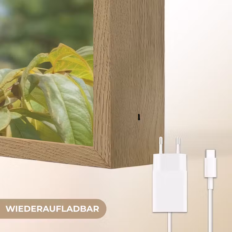Perzik - Bladeren - Zonlicht Light Box met batterij (Wandlamp) middel -USP_websiteoplaadbaarDE
