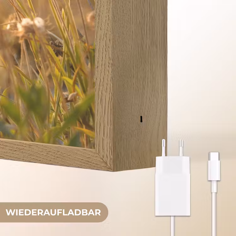Planten - Natuur - Bloemen - Zon - Horizon Light Box met batterij (Wandlamp) middel -USP_websiteoplaadbaarDE
