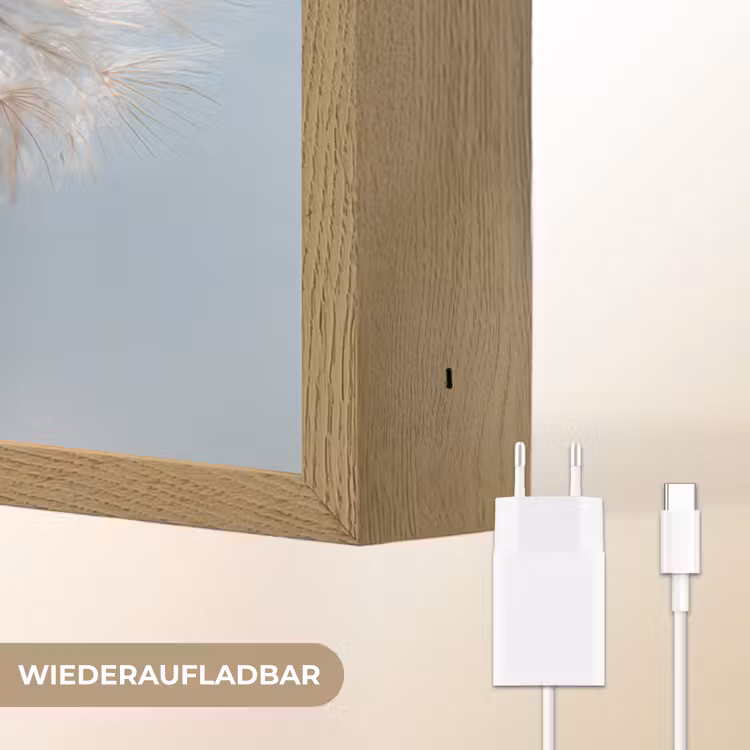 Paardenbloemen - Pluisjes - Wit Light Box met batterij (Wandlamp) middel -USP_websiteoplaadbaarDE