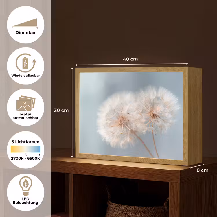 Paardenbloemen - Pluisjes - Wit Light Box met batterij (Wandlamp) middel -USP_websiteoverzichtDE