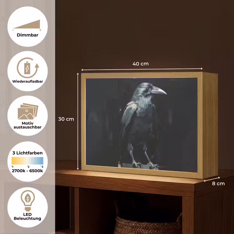 Raaf - Vogels - Zwart Light Box met batterij (Wandlamp) middel -USP_websiteoverzichtDE