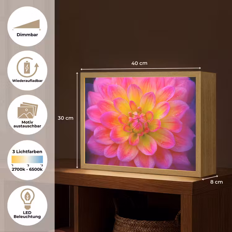 Roze - Dahlia - Kleurrijk Light Box met batterij (Wandlamp) middel -USP_websiteoverzichtDE