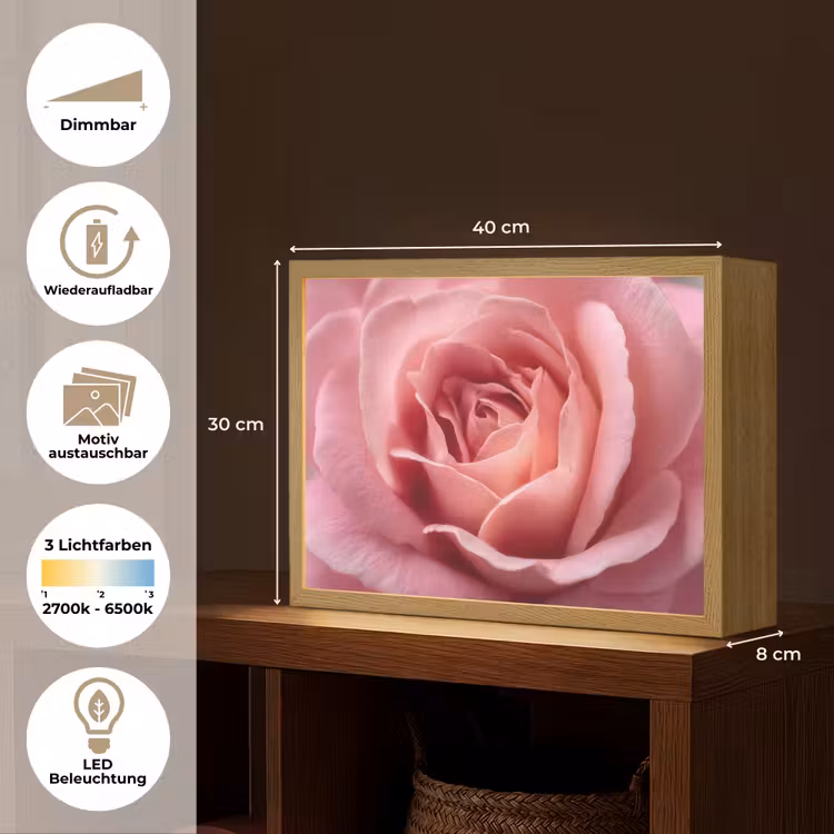 Roze - Roos - Romantisch Light Box met batterij (Wandlamp) middel -USP_websiteoverzichtDE