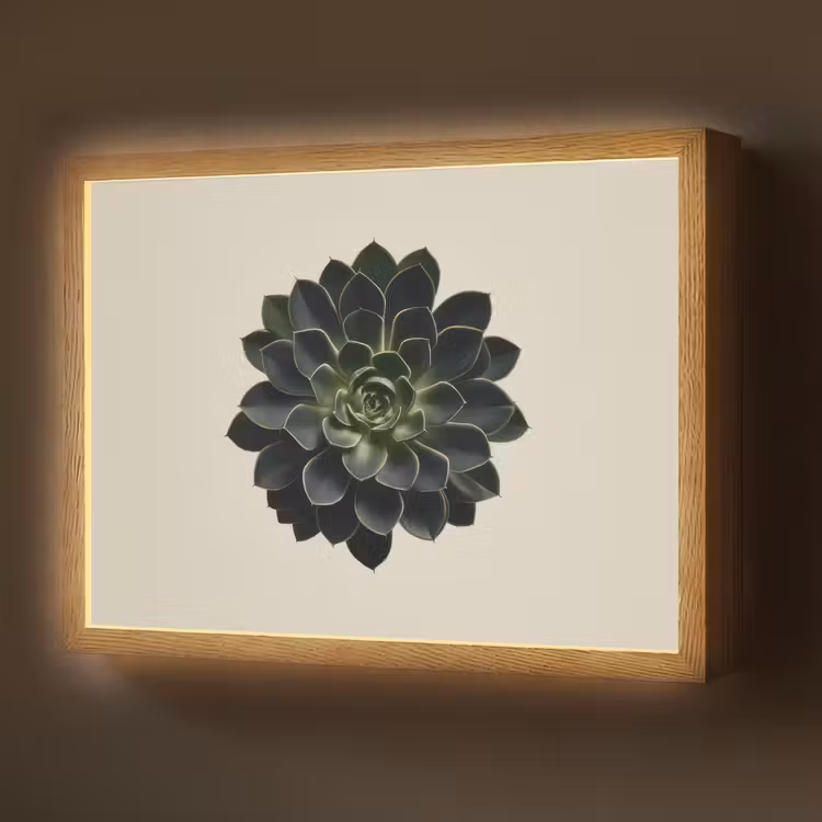 Rozet - Cirkelvormig - Donkergroen Light Box met batterij (Wandlamp) middel -z3d_website