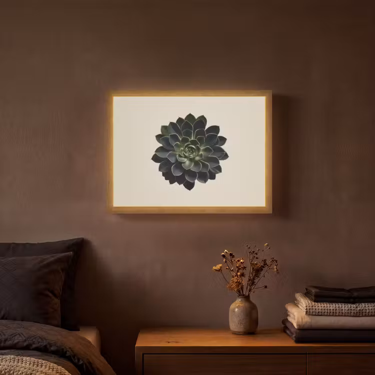 Rozet - Cirkelvormig - Donkergroen Light Box met batterij (Wandlamp) middel -sfeer4