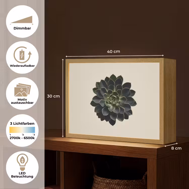 Rozet - Cirkelvormig - Donkergroen Light Box met batterij (Wandlamp) middel -USP_websiteoverzichtDE
