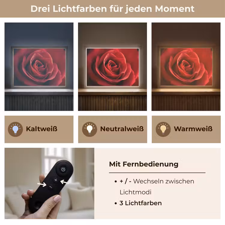 Rood - Roos - Romantisch Light Box met batterij (Wandlamp) middel -USP_lichtkleurDE