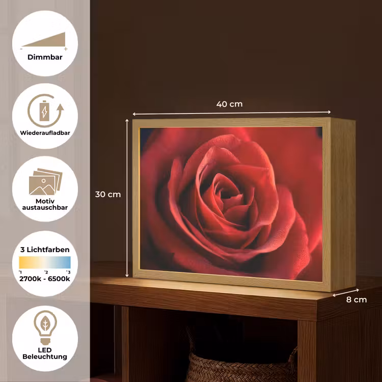 Rood - Roos - Romantisch Light Box met batterij (Wandlamp) middel -USP_websiteoverzichtDE