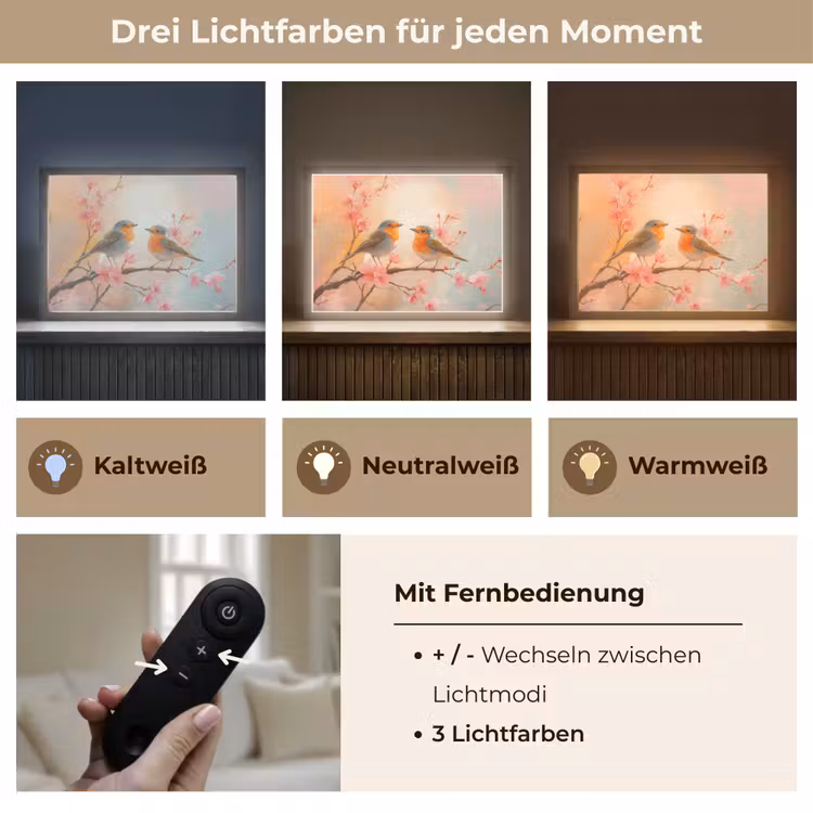 Roodborstjes - Sierlijk - Bloesemtak Light Box met batterij (Wandlamp) middel -USP_lichtkleurDE