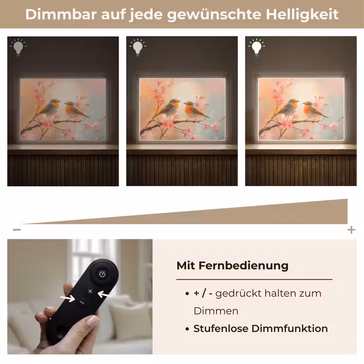 Roodborstjes - Sierlijk - Bloesemtak Light Box met batterij (Wandlamp) middel -USP_dimbaarDE