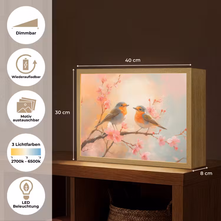 Roodborstjes - Sierlijk - Bloesemtak Light Box met batterij (Wandlamp) middel -USP_websiteoverzichtDE