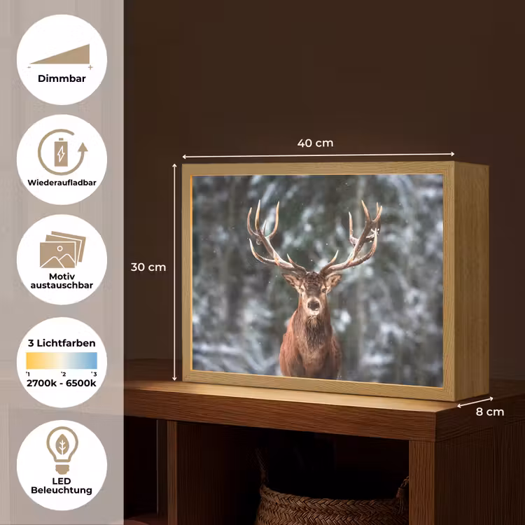 Hert - Winter - Sneeuw - Bos - Natuur - Dier Light Box met batterij (Wandlamp) middel -USP_websiteoverzichtDE