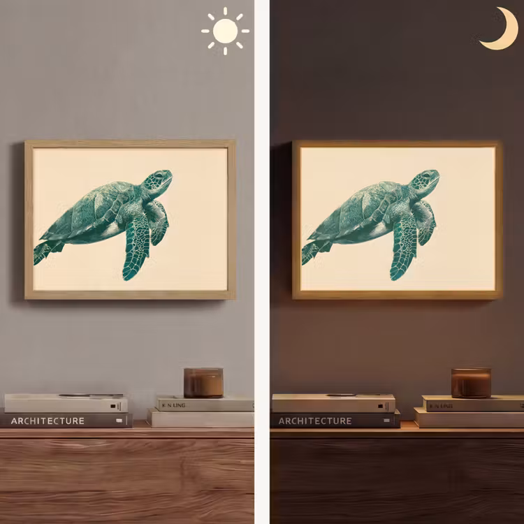 Schildpad - Sierlijk - Groen - Schild Light Box met batterij (Wandlamp) middel -sfeer3