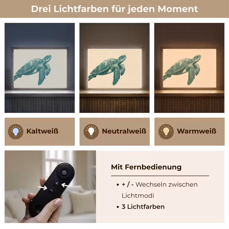 Schildpad - Sierlijk - Groen - Schild Light Box met batterij (Wandlamp) middel -USP_lichtkleurDE