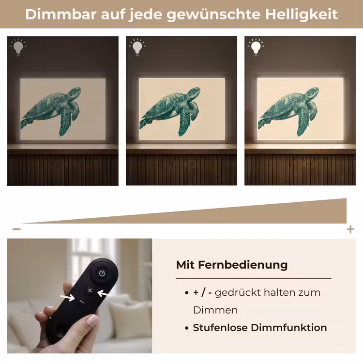 Schildpad - Sierlijk - Groen - Schild Light Box met batterij (Wandlamp) middel -USP_dimbaarDE