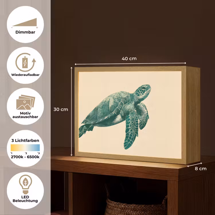 Schildpad - Sierlijk - Groen - Schild Light Box met batterij (Wandlamp) middel -USP_websiteoverzichtDE