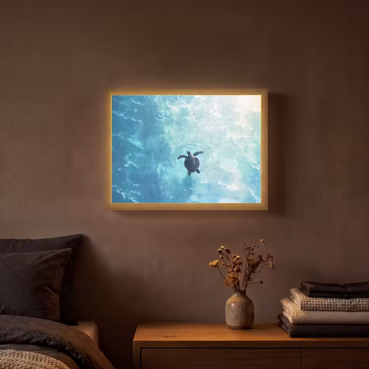 Schildpad - Zee - Blauw - Schittering Light Box met batterij (Wandlamp) middel -sfeer4