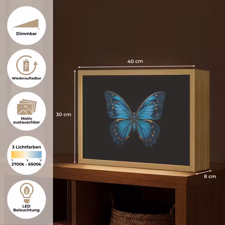 Vlinder - Blauw - Contrast Light Box met batterij (Wandlamp) middel -USP_websiteoverzichtDE