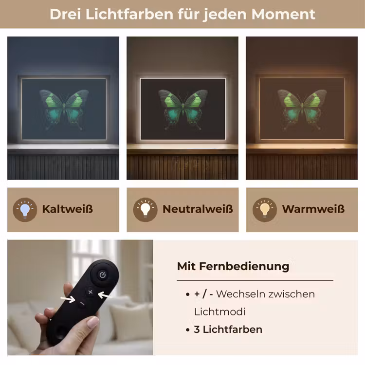 Vlinder - Groen - Opvallend Light Box met batterij (Wandlamp) middel -USP_lichtkleurDE