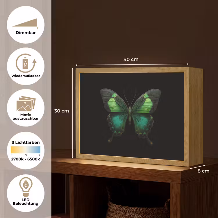 Vlinder - Groen - Opvallend Light Box met batterij (Wandlamp) middel -USP_websiteoverzichtDE