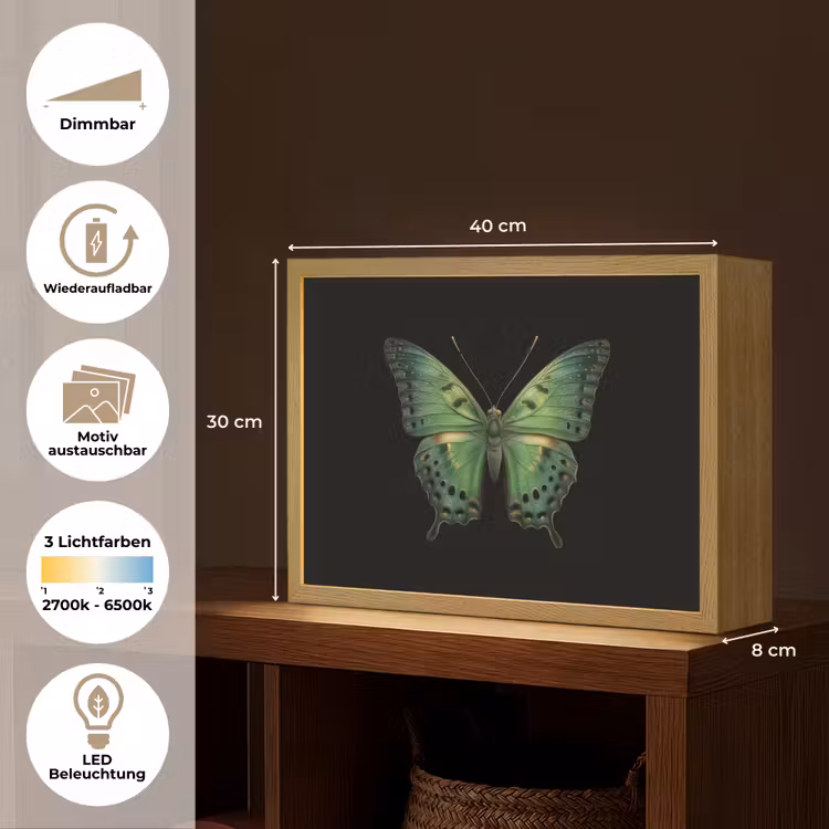 Vlinder - Groen - Diepte Light Box met batterij (Wandlamp) middel -USP_websiteoverzichtDE