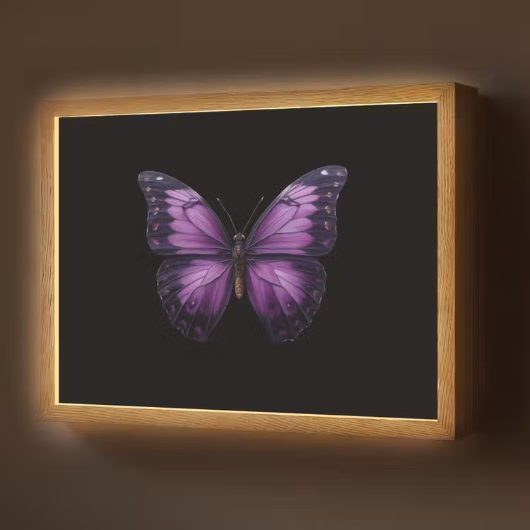 Vlinder - Paars - Levendig Light Box met batterij (Wandlamp) middel -z3d_website