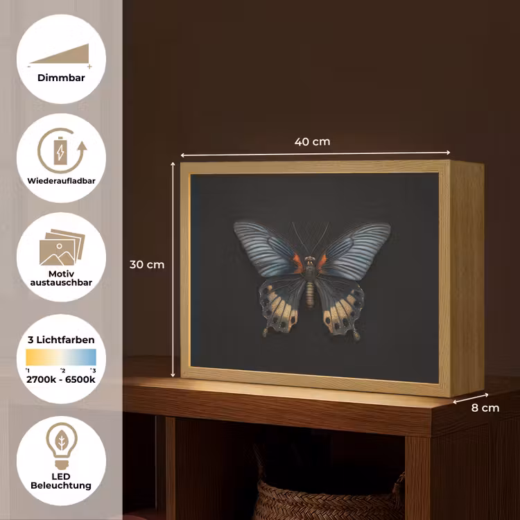Vlinder - Metaalachtig - Geometrisch patroon Light Box met batterij (Wandlamp) middel -USP_websiteoverzichtDE