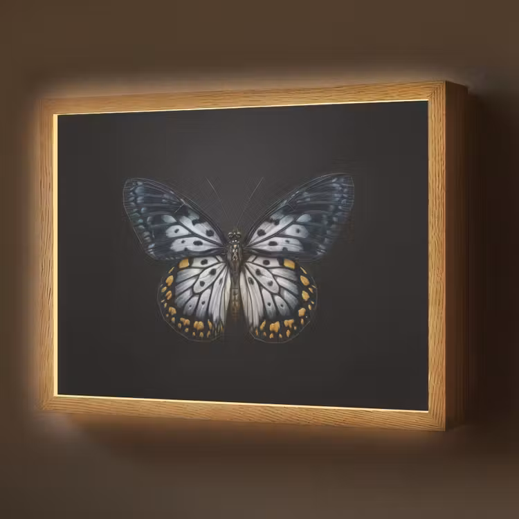 Vlinder - Monochroom - Balans Light Box met batterij (Wandlamp) middel -z3d_website