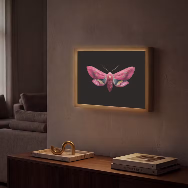 Vlinder - Roze - Nachtvlinder Light Box met batterij (Wandlamp) middel -sfeer1