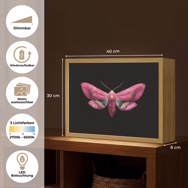 Vlinder - Roze - Nachtvlinder Light Box met batterij (Wandlamp) middel -USP_websiteoverzichtDE