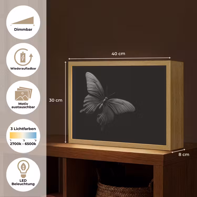 Vlinder - Zwart - Insect - Dieren Light Box met batterij (Wandlamp) middel -USP_websiteoverzichtDE