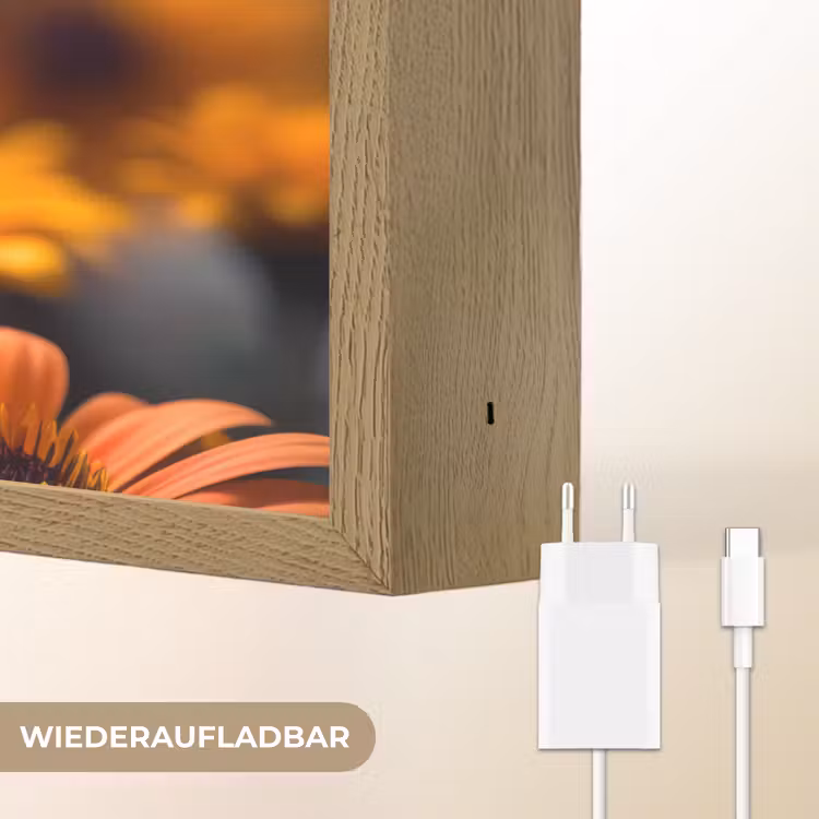 Vlinder - Dier - Kleurrijk - Bloemen - Natuur Light Box met batterij (Wandlamp) middel -USP_websiteoplaadbaarDE
