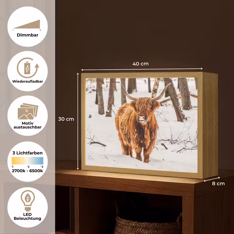 Schotse Hooglander - Sneeuw - Winter - Natuur - Dieren Light Box met batterij (Wandlamp) middel -USP_websiteoverzichtDE