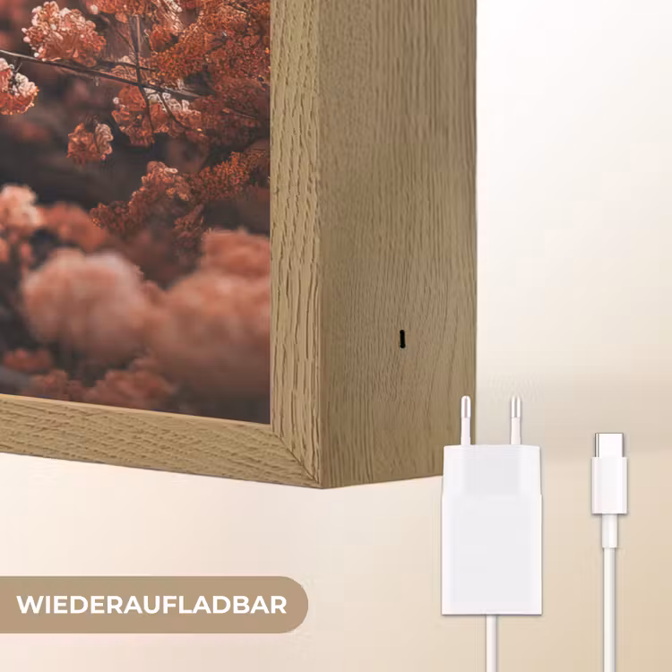 Schotse hooglander - Dier - Natuur - Bloemen - Botanisch Light Box met batterij (Wandlamp) middel -USP_websiteoplaadbaarDE