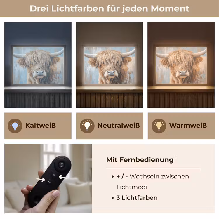 Schotse hooglander - Dieren - Koe - Street art Light Box met batterij (Wandlamp) middel -USP_lichtkleurDE
