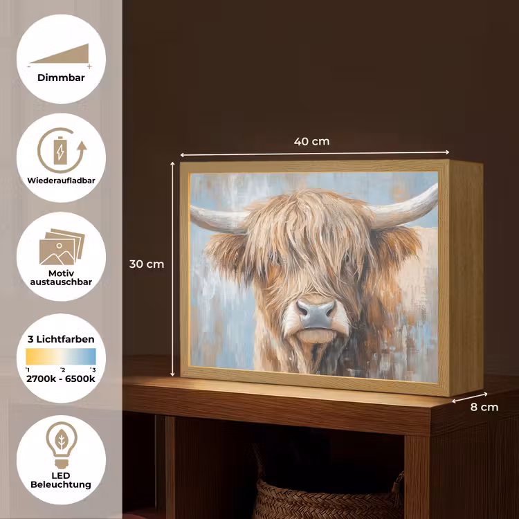 Schotse hooglander - Dieren - Koe - Street art Light Box met batterij (Wandlamp) middel -USP_websiteoverzichtDE