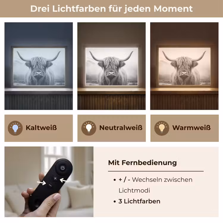 Schotse hooglander - Dieren portret - Zwart - Wit - Dier Light Box met batterij (Wandlamp) middel -USP_lichtkleurDE