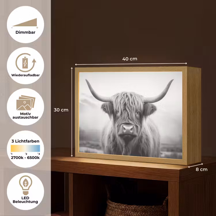 Schotse hooglander - Dieren portret - Zwart - Wit - Dier Light Box met batterij (Wandlamp) middel -USP_websiteoverzichtDE