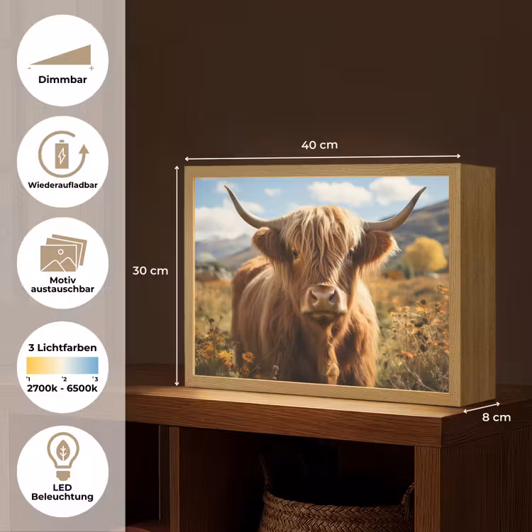 Schotse hooglander - Dieren portret - Natuur - Dier Light Box met batterij (Wandlamp) middel -USP_websiteoverzichtDE
