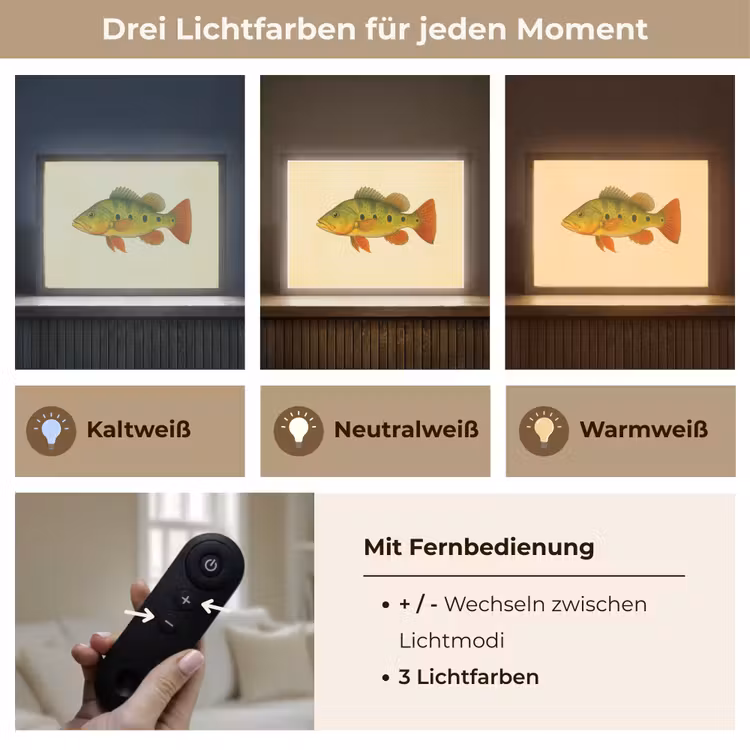 Schubben - Vis - Groen - Illustratie Light Box met batterij (Wandlamp) middel -USP_lichtkleurDE