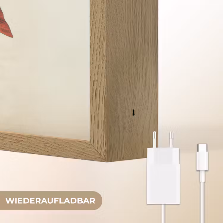 Schubben - Rood - Vis - Vinnen Light Box met batterij (Wandlamp) middel -USP_websiteoplaadbaarDE
