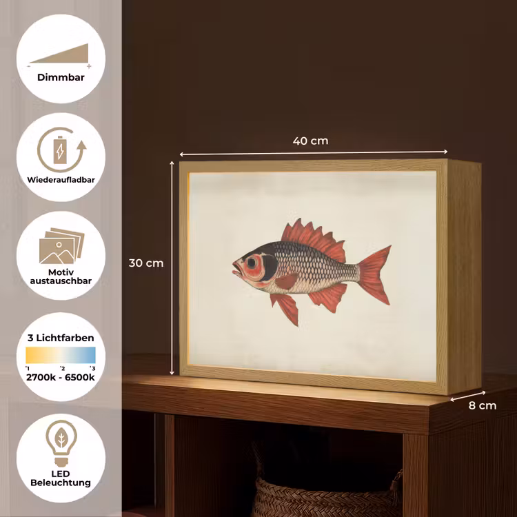 Schubben - Rood - Vis - Vinnen Light Box met batterij (Wandlamp) middel -USP_websiteoverzichtDE