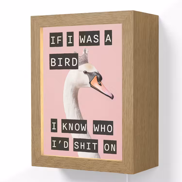 Zwaan - Vogel - Decoratie - Roze Light Box met kabel (Wandlamp) klein -3d