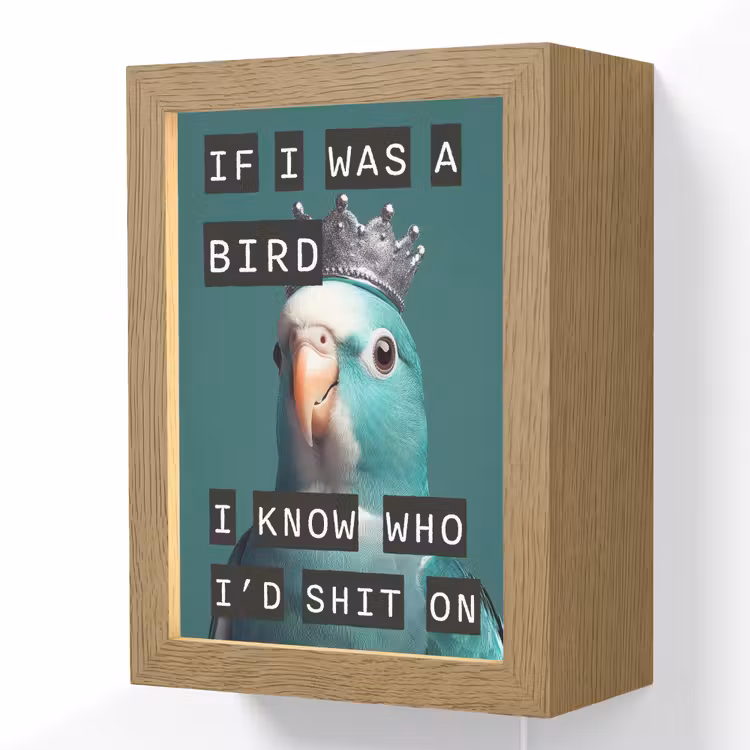 Parkiet - Turquoise - Quotes - Decoratie Light Box met kabel (Wandlamp) klein -3d