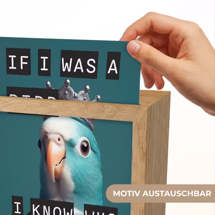 Parkiet - Turquoise - Quotes - Decoratie Light Box met kabel (Wandlamp) klein -USP_websiteprintDE