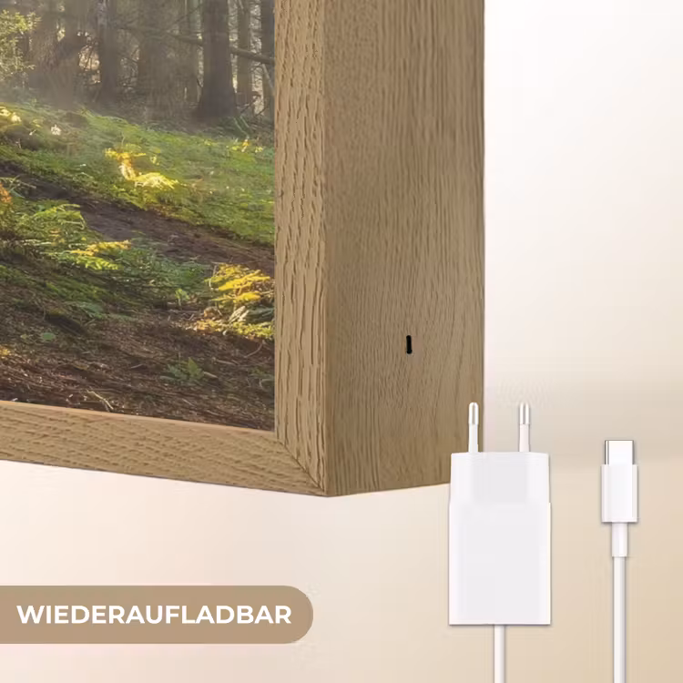 Zon - Takken - Bomen - Bos - Natuur Light Box met batterij (Wandlamp) middel -USP_websiteoplaadbaarDE