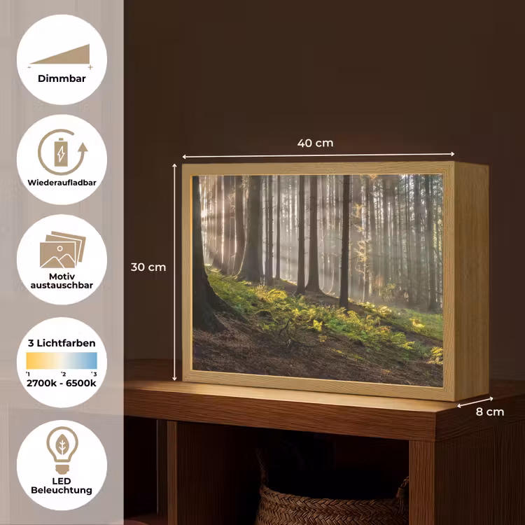 Zon - Takken - Bomen - Bos - Natuur Light Box met batterij (Wandlamp) middel -USP_websiteoverzichtDE