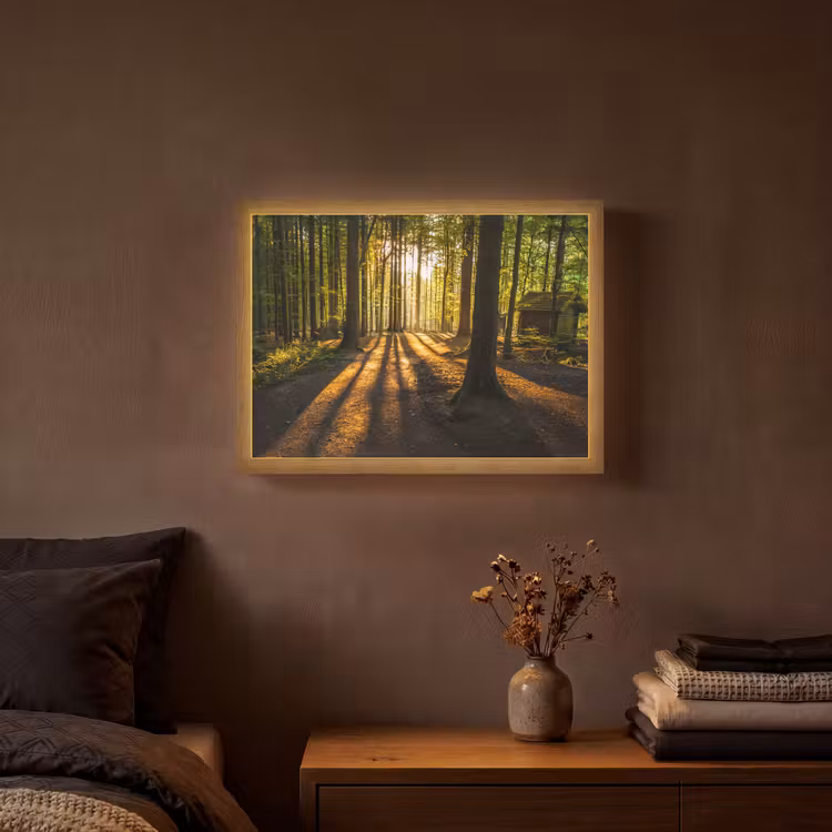 Zon - Bomen - Bos - Landschap - Natuur Light Box met batterij (Wandlamp) middel -sfeer4